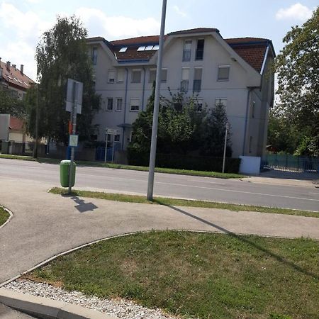 Napko Apartman Sopron Eksteriør billede