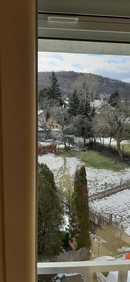 Napko Apartman Sopron Eksteriør billede